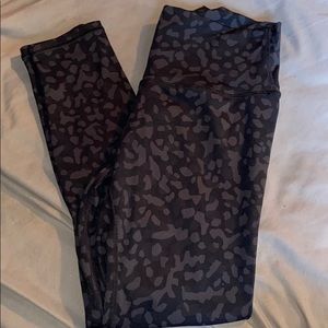 Paragon Essential Legging